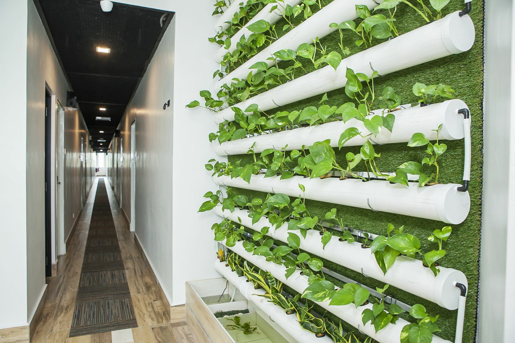Bzz Hotel Skudai Zewnętrze zdjęcie